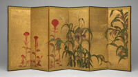 Maize and Cockscombs