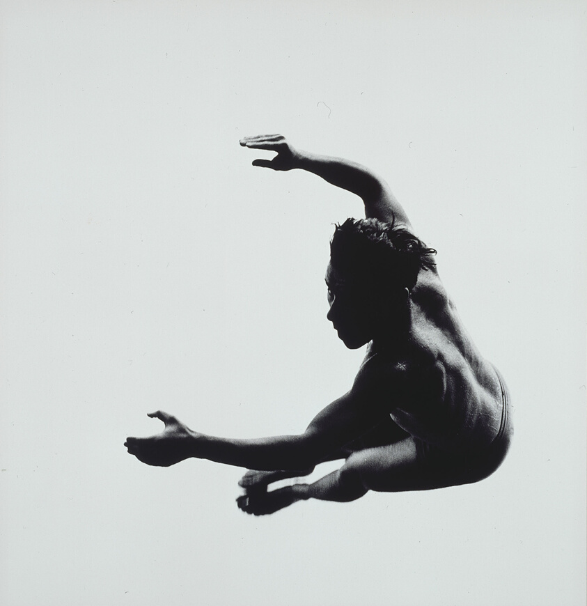 Levitation by Jim Ottaviani