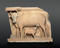 Cow Suckling a Calf