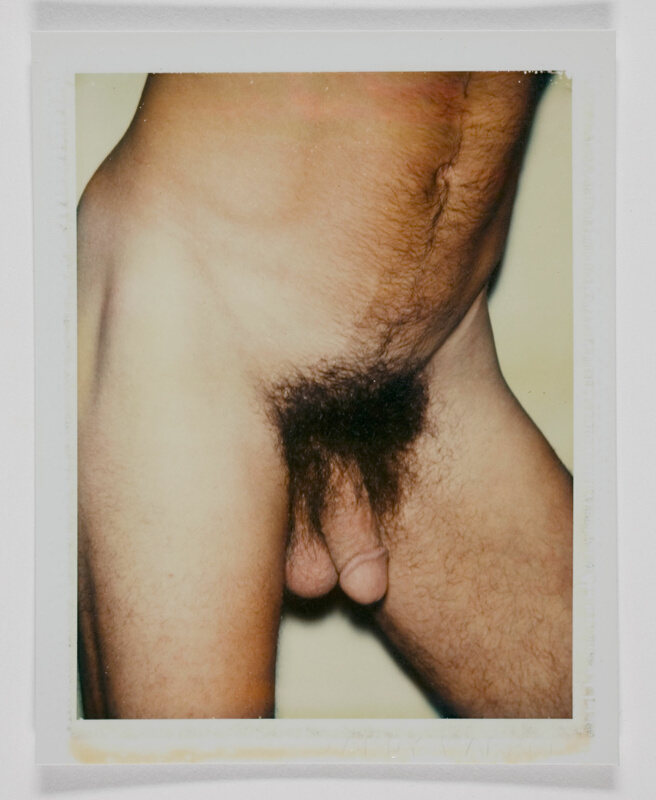 Male Nude Art Model 38