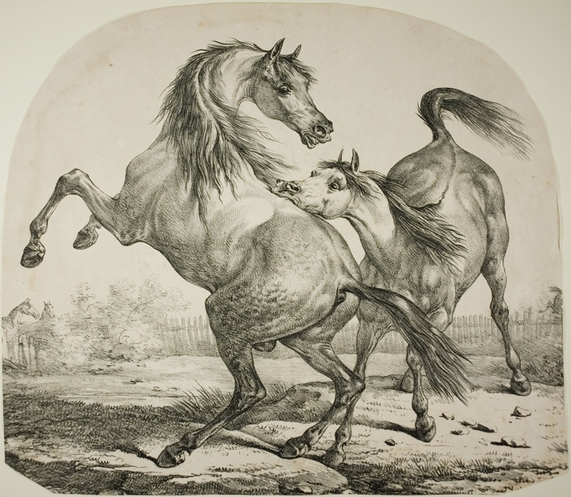 Wild Horses Fighting | The Art Institute of Chicago